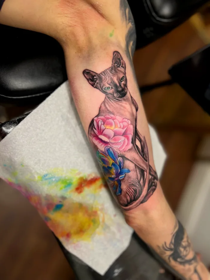 Realistic sphynx cat with pink peony and blue flower forearm tattoo in black grey and colour by Esther, Unicorn Tattoo Art Collective, Ashford Surrey