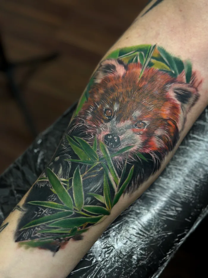 Colorfull cover up tattoo done by Esther