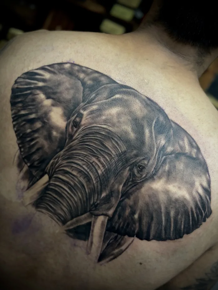 Black and grey realism savanna themed back tattoo by Esther at Unicorn Tattoo Art Collective in Ashford, Surrey after the first session