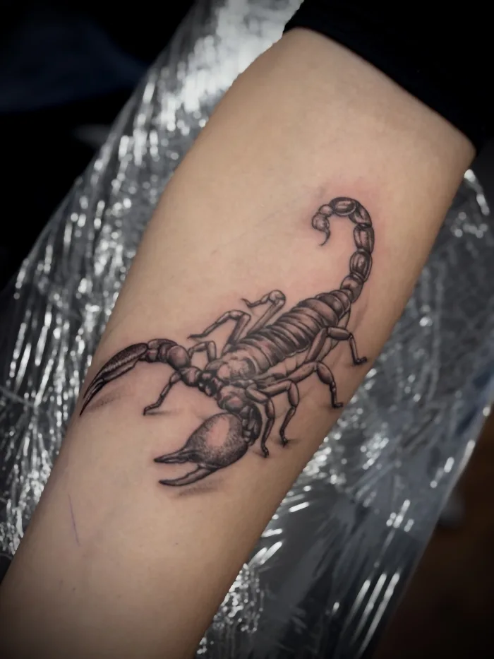 Black and grey scorpion tattoo on the forearm by Esther, with detailed claws and a curved tail.